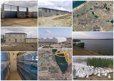 Kommersiya daşınmaz əmlakının satışı: Kurdahani və Mehəmmədli yolunda, gölun sahilində 11 Hektar (1100