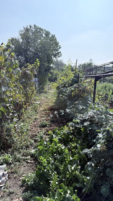 Продажа домов: Дом, 125 м², 5 комнат, Собственник — 28