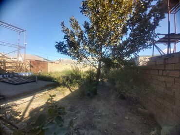 Uzunmüddətli kirayə evlər: 400 kv. m, 7 otaqlı -da lalafo.az — 29 Uzunmüddətli kirayə evlər: 400 kv. m, 7 otaqlı — 29