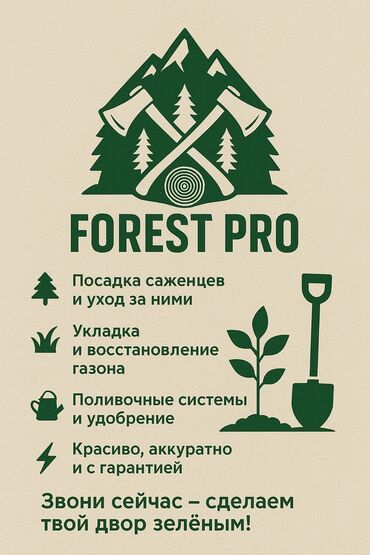 охрана дома: Компания Forest Pro предлагает комплексные услуги по уходу за
