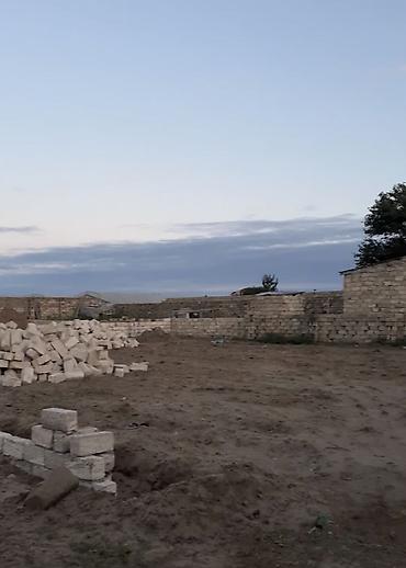 Torpaq: 6 sot, Mülkiyyətçi, Bələdiyyə — 2