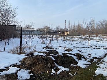 Продажа коттеджей и домов: Продаю дом. Аламидин район село гроздный. Мектеп, садик. рядом — 3