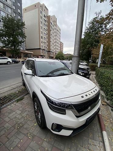 kia seltos: Kia Seltos: 2020 г., 1.6 л, Робот, Бензин, Кроссовер — 2