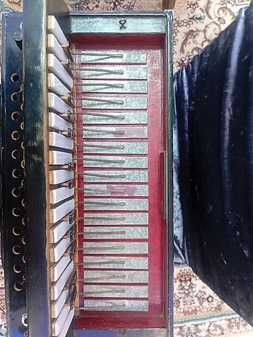 Qarmonlar: Qarmon, Akustik, İşlənmiş, Ünvandan götürmə — 6