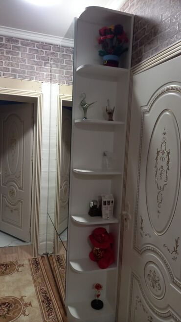 dehliz guzgusu: İşlənmiş, Açılan, 2 qapılı Düz dolab, Dəhliz dolabı, Azərbaycan