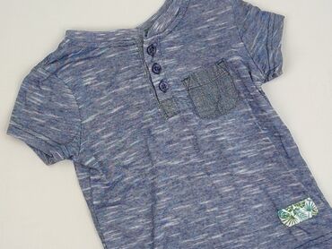 koszulka termoaktywna pitbull: T-shirt, Kiki & Koko, 1.5-2 years, 86-92 cm, condition - Very good