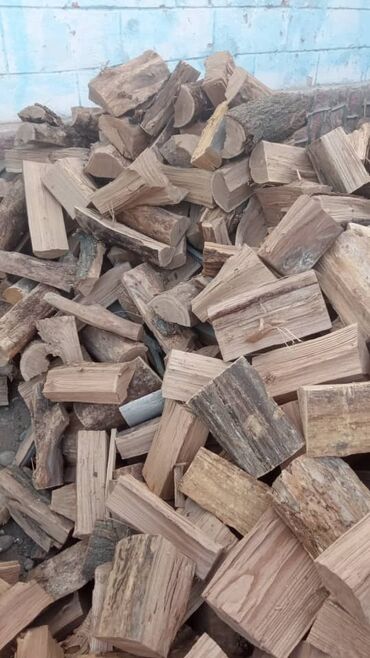купить дрова в токмаке: Дрова Карагач, Бесплатная доставка
