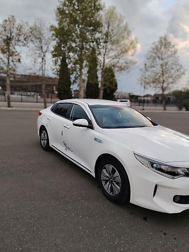 maşın opel: Kia K5: 2 l | 2017 il Sedan — 2