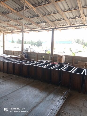 Bitkilər üçün dibçəklər: Dipçək.hər növ modeldə və rəngdə -da lalafo.az — 13 Bitkilər üçün dibçəklər: Dipçək.hər növ modeldə və rəngdə — 13