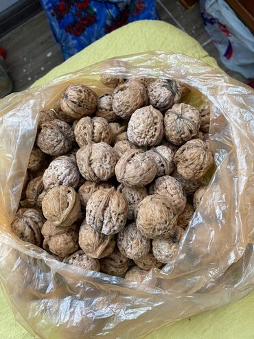 орехи очищенные: Жангак сатылат, озубуздуку, 2023 жылкы тушум, 4 кап бар Ош шаары