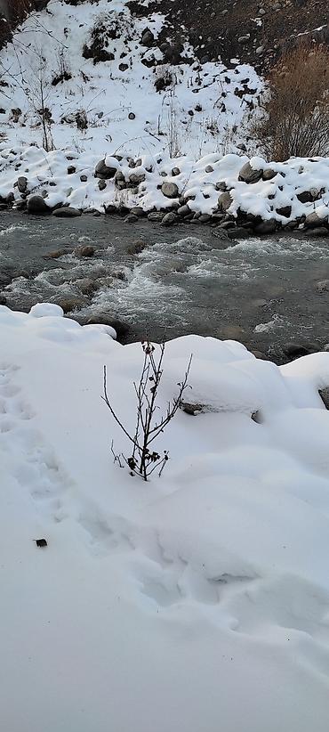 Продажа домов: Дача, 44 м², 3 комнаты, Собственник — 30