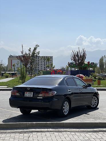 тсунами снм 200: Toyota Windom: 2003 г., 3 л, Автомат, Газ — 2