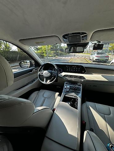 200: Hyundai Palisade: 2020 г., Автомат, Дизель, Кроссовер — 5