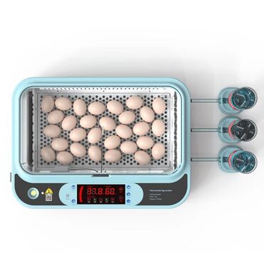 Oprema za kućne ljubimce: INKUBATOR Automatski nove generacije za 36 jaja 12v/220v — 5
