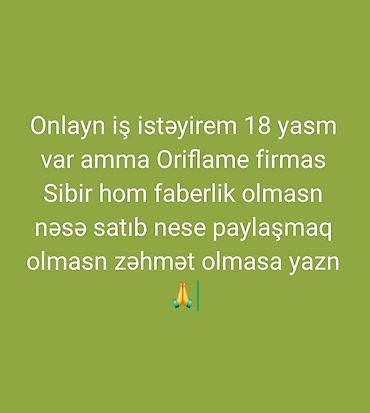 Onlayn iş axtarışı - 18 yaşım var, məsuliyyətli və çevikəm. -
