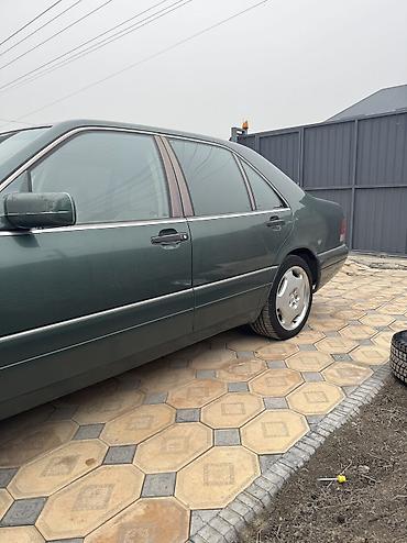 Mercedes-Benz: Mercedes-Benz S-Class: 1995 г., 4.2 л, Автомат, Бензин, Седан — 8