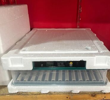 Digər quşlar: Smart-rejimli inkubatorlar satılır. Aparatlar tam olaraq avtomat, və — 29