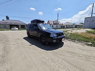 форестер 2015: Subaru Forester: 2004 г., 2 л, Автомат, Бензин, Универсал — 6