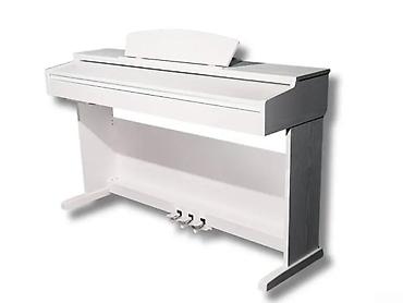 Musiqi alətləri: Elektro piano 🟢Rəsmi iş yeri olan və olmayanlara,tək şəxsiyyət — 1