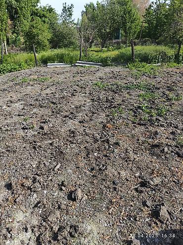 Другие услуги: Спашка огорода С дизельный мотоблок и бензиновый Цена договорная — 4