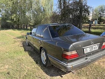 Продажа авто: Mercedes-Benz W124: 1995 г., 2 л, Механика, Дизель, Седан — 3