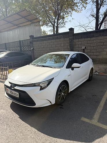 prius plus: Toyota Corolla: 2023 г., 1.8 л, Гибрид, Седан — 2