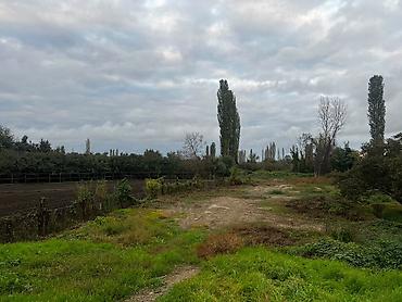 əlimyandi satilan evlər: 24 sot, Tikinti, Mülkiyyətçi, Kupça (Çıxarış) — 1