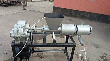 Audi: Audi : 2022 г. — 6