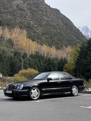 мерседес e55: Mercedes-Benz E-Class: 2002 г., 5.5 л, Автомат, Бензин, Седан