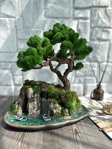 Декоративные цветы: Деревья-бонсай из натурального стабилизированного мха🌳 -это — 70