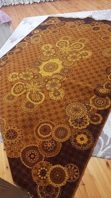 алоэ гулунун дарылык касиети: Ковер Декоративный, Нет кредита