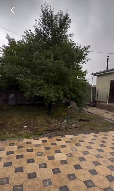 Продажа коттеджей и домов: 🏡 **Срочная продажа дома!** Продается уютный дом с **новым ремонтом** at lalafo.kg — 8 Продажа коттеджей и домов: 🏡 **Срочная продажа дома!** Продается уютный дом с **новым ремонтом** — 8