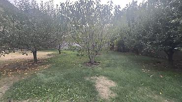 продаю дом в кант: 300 м², 6 комнат — 3