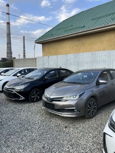 таета фуранер: Toyota Corolla: 2019 г., 1.8 л, Вариатор, Гибрид, Седан
