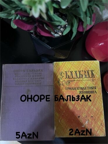 Lüğətlər: 125 shekil. Sola cevirin zehmet olmasa Kitab və dərs vəsaitləri paketi — 91