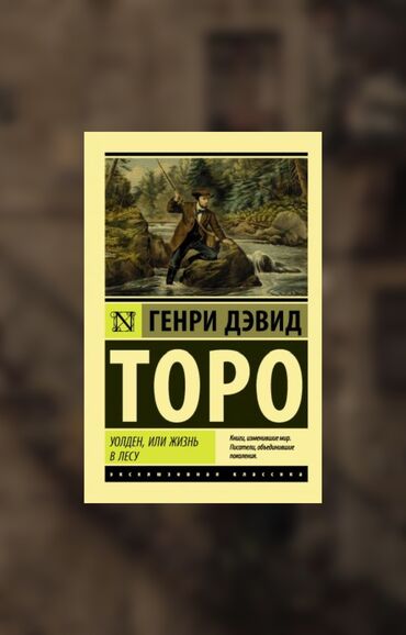 Русская классика - 3 лучшие книжки 📚 "Уолден или жизнь в лесу " : -