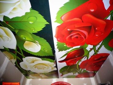 Натяжной потолок: Натяжной потолок Глянцевое, Матовое, 3D потолки — 2