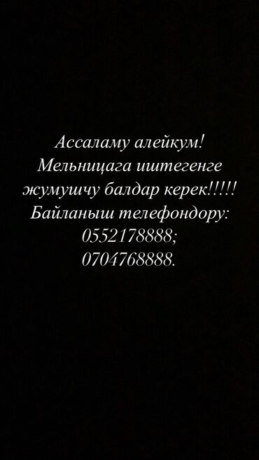 ремонт шпаклевка: Ассаламу алейкум! Мельницага иштегенге жумушчу балдар керек!!!!!