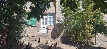 Torpaq sahələrinin satışı: Kənd təsərrüfatı -da lalafo.az — 6 Torpaq sahələrinin satışı: Kənd təsərrüfatı — 6