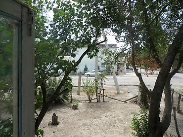 Продажа квартир: 3 комнаты, 85 м², 106 серия, 1 этаж, Косметический ремонт at lalafo.kg — 17 Продажа квартир: 3 комнаты, 85 м², 106 серия, 1 этаж, Косметический ремонт — 17