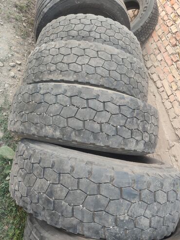 Шины: Шины R 19.5, Всесезонная, Б/у, Грузовики/Автобусы, Россия — 9