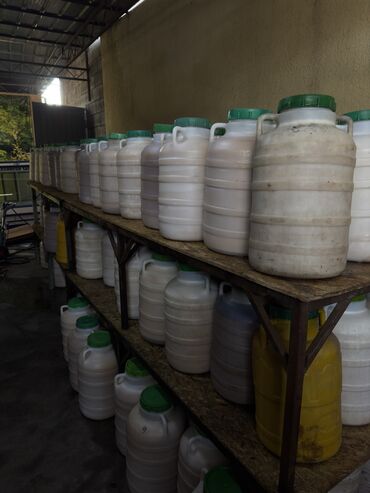 Мёд: Оптом горный мёд токтогульский токтогулдун тоо балы📍 Локация(сбора — 9