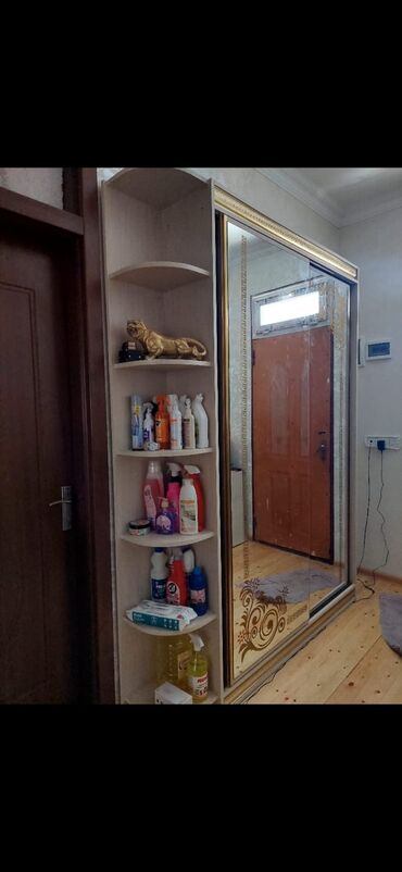 dehliz guzgusu: İşlənmiş, Kupe, Düz dolab, Dəhliz dolabı