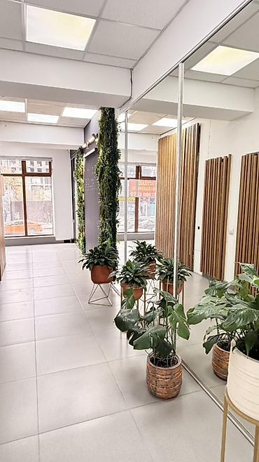 аренда офисов: Сдаю Офисный кабинет: 30 м², В бизнес центре, С ремонтом, Первая линия — 9