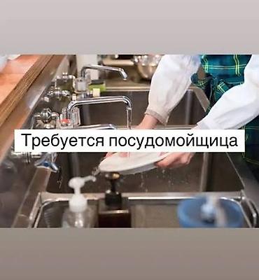 работа посуда мойщик: Требуется Посудомойщик, Оплата: Еженедельно — 1