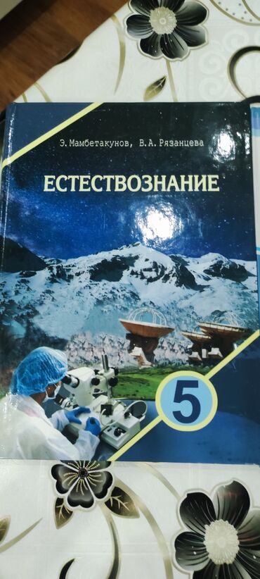 мебель в дом: Книги 5 класс