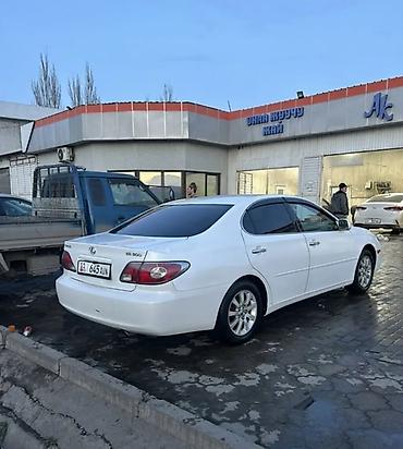 Lexus: Lexus ES: 2003 г., 3 л, Автомат, Газ, Седан — 5