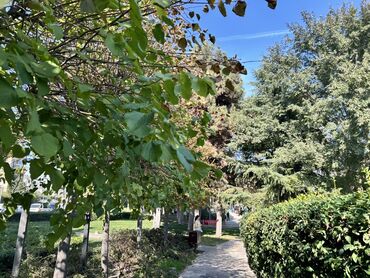 usaq ucun qizil sirqalar instagram: Uşaq üçün yumşaq qulaqlıq (earmuff) - Material: xəz tipli yumşaq