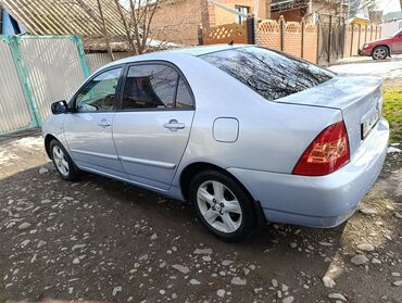 таиота сурф: Toyota Corolla: 2005 г., 1.6 л, Автомат, Бензин, Седан