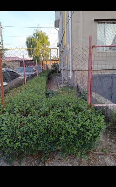 нижний аларча квартира берилет: 2 комнаты, 60 м², 105 серия, 1 этаж, Косметический ремонт
